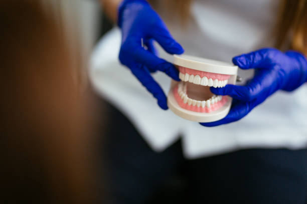 Crestline, CA Holistic Dental Care Services Company